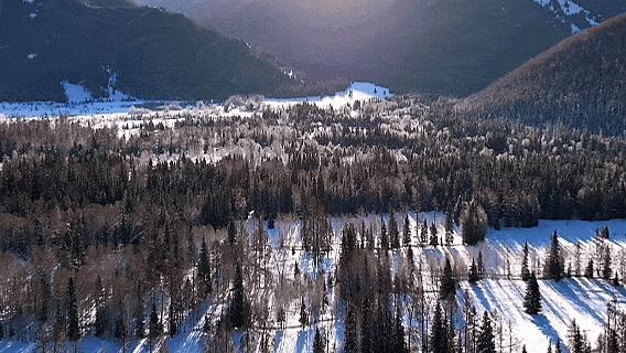 父母包的饺子跨越2700公里送儿子