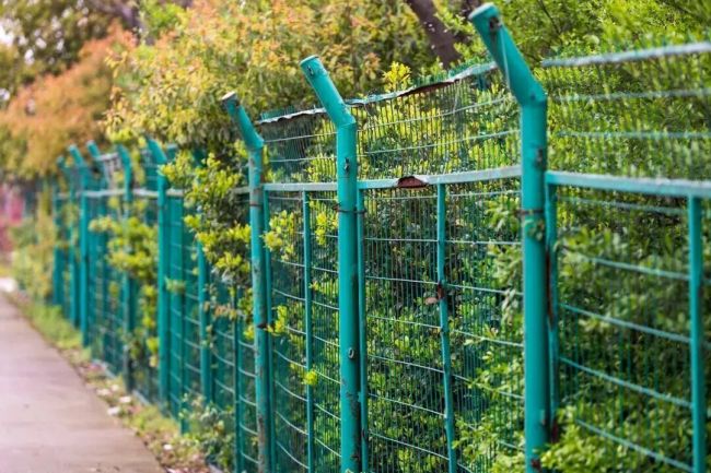 2名初中生扶摔倒女子遭索赔22万