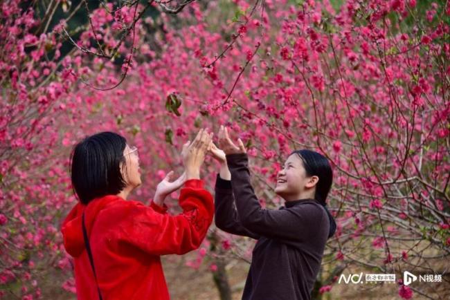 广东潮汕上演节庆版“疯狂动物城” 动物舞林大会热闹非凡