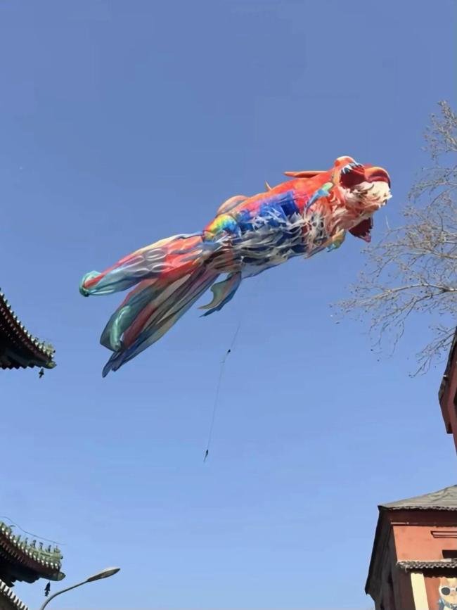 全网都在帮济南找鳌鱼 巨型空飘意外飞走