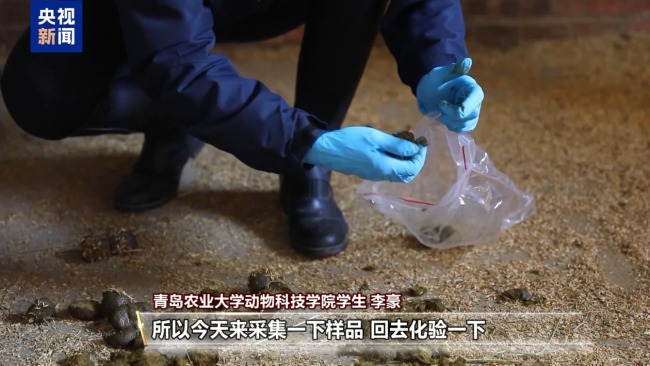 “骑马养马”成课程 探访高校如何为马业“育才”