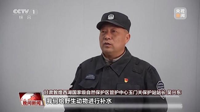 数千年来 人类与马如何和谐共生