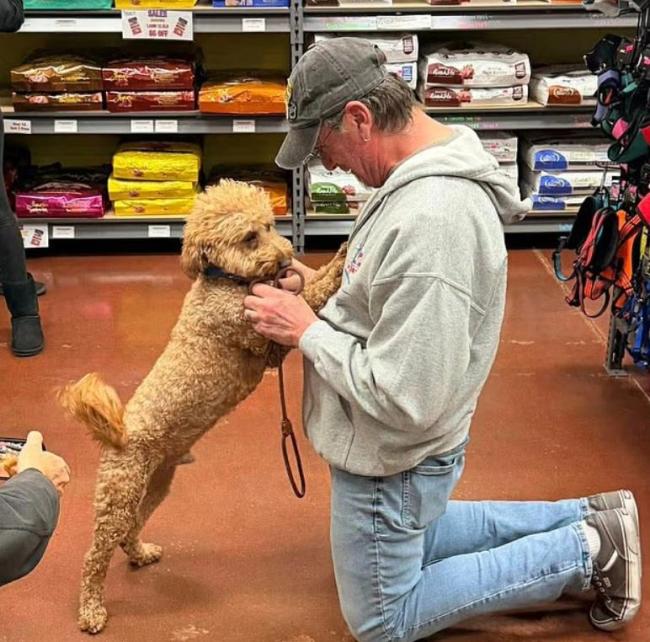 狗主东谈主因机场弃狗而被捕 全好意思关怀激励热议