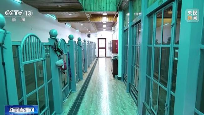 宠物经济成春节消费亮点 寄养托运双火爆