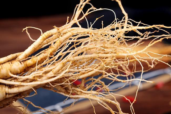 人参喂猪牛奶浇地噱头大于实际价值 营销手段引争议