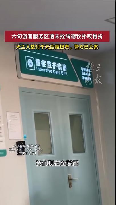 警方介入游客服务区内被德牧犬咬伤 犬主态度骤变拒担责