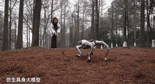 宇树科技发布新一代四足机器人 性能翻倍功能更强