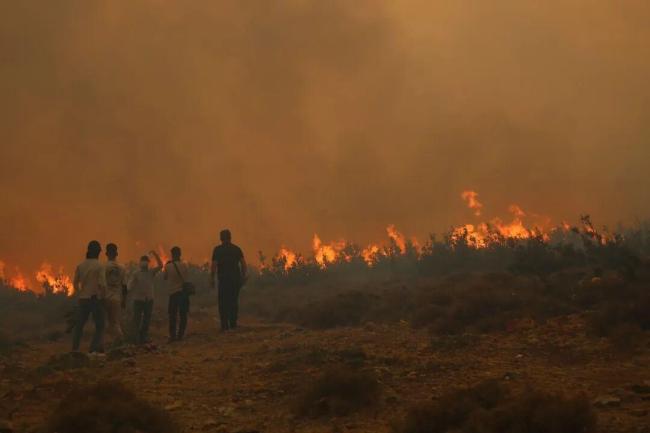 2026年，我们将继续面对失控的四季 适应变化求生存