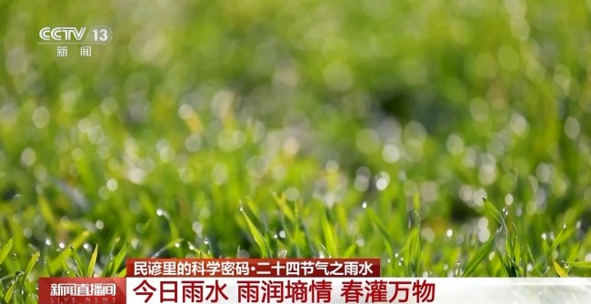 雨水时节，降雪减少降雨增多，哪里的降雨增加最明显？