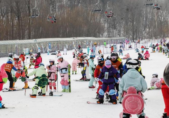 “马”不停蹄！春节假期游客人数和花费创新高