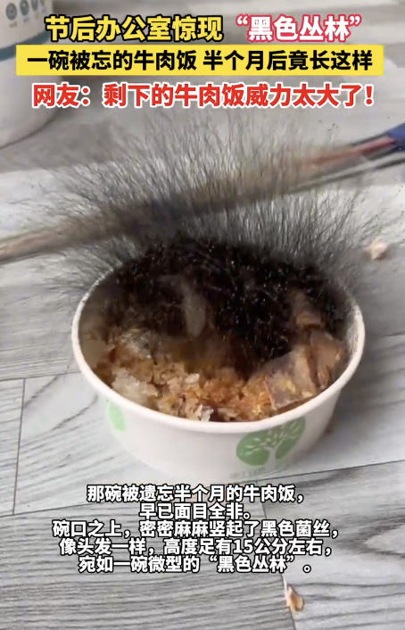 男子节后返工发现牛肉饭长出黑菌丝 办公室里的“黑色丛林”