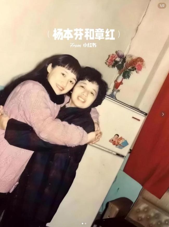 八旬作家杨本芬陷抄袭争议发文致歉 真诚回应质疑