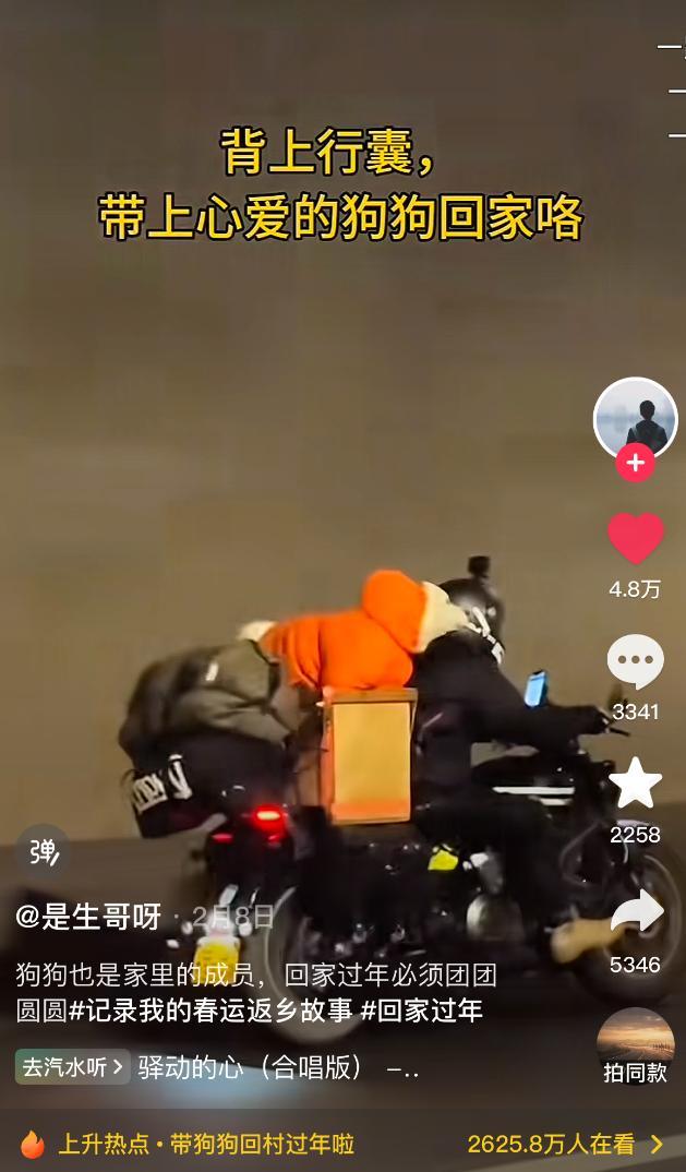 藏在短视频里的中国年 乡土情结与变迁
