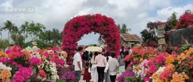 “美丽经济”让乡村振兴“开”出新活力