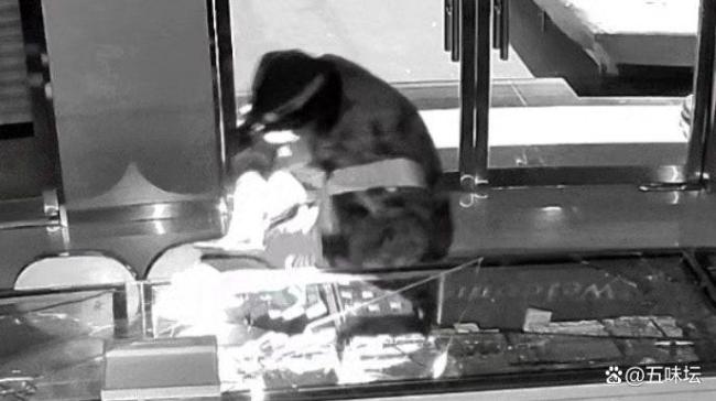 男子洗劫金店已被刑拘 十小时速破案