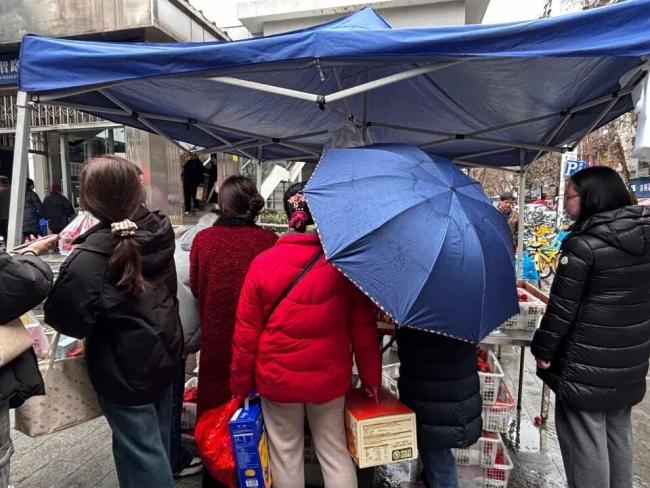 草莓大降价低至1元每斤 武汉实现草莓自由