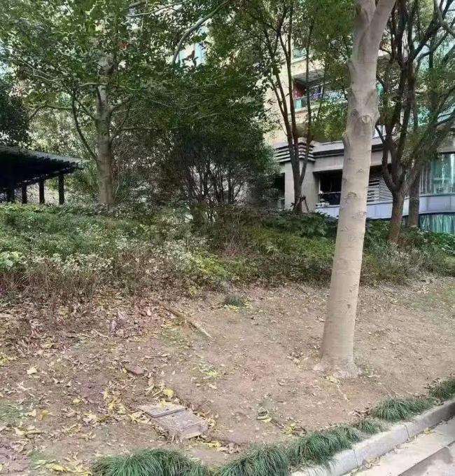 选票箱被锁600天 上海一小区管理混乱 治理困局待解