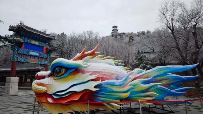 马年初雪喜降京城 网友纷纷晒出雪景照