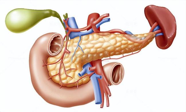 女子过年大鱼大肉致重症胰腺炎 节日饮食需谨慎
