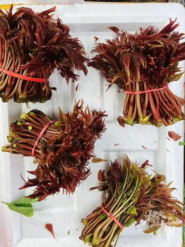 香椿价格腰斩 湖北人迫不及待下单