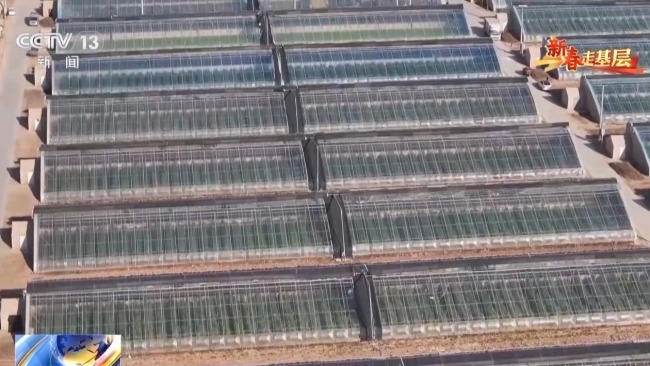 山海协作30年!闽宁镇的年味里,藏着幸福密码