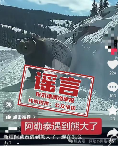 新疆喀纳斯出现棕熊"系谣言:AI生成视频误导公众