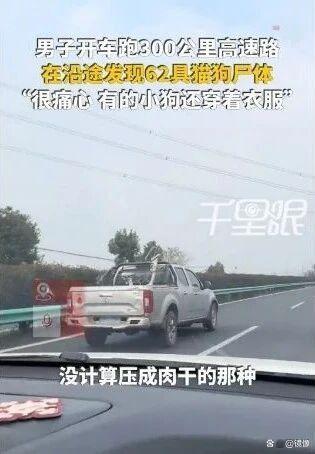 三百公里高速发现62具宠物尸体 不规范运输酿悲剧