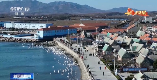 新春走基层丨穿行山海间的幸福列车 一路相伴