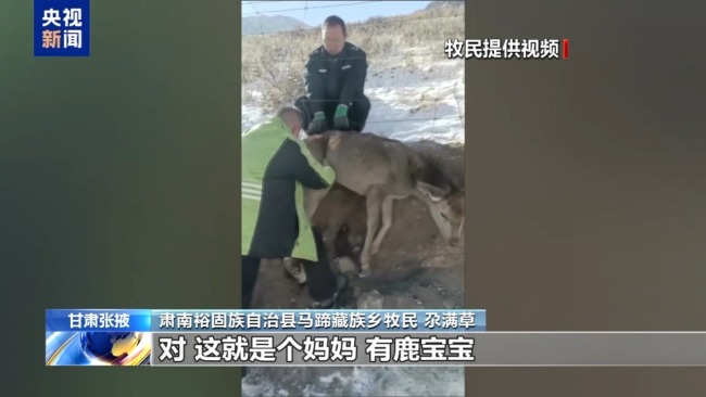 下山借牧还交上了朋友 这趟“冬牧”值了