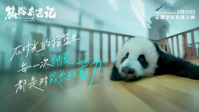 电影《熊猫奇遇记》定档3月10日 全生命周期的熊猫故事