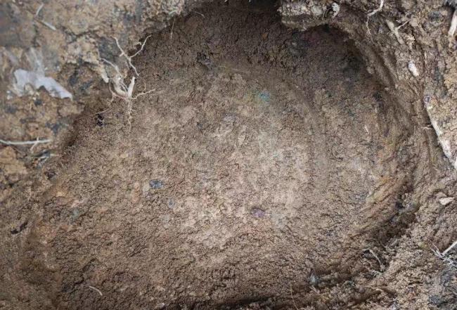 云南村民挖出东汉铜鼓主动捐出