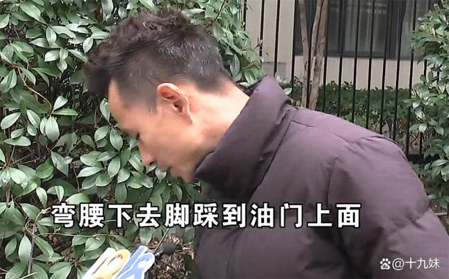 奥迪开进池塘保险怀疑故意 车主坚称失误拒赔引发争议