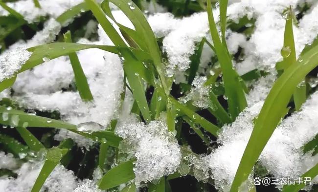 今日八九尾，下雨有何预兆？春雨贵如油