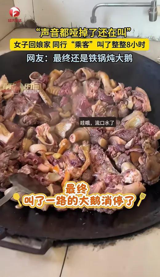 女子回家同行“乘客”叫8小时 狮头鹅喊哑嗓子