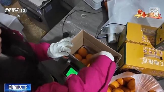 把传统集市搬到线上 他们让农产品走出大山