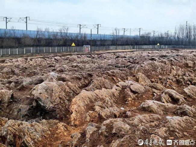 山东修高铁站挖出5亿年前石海 远古奇观引关注