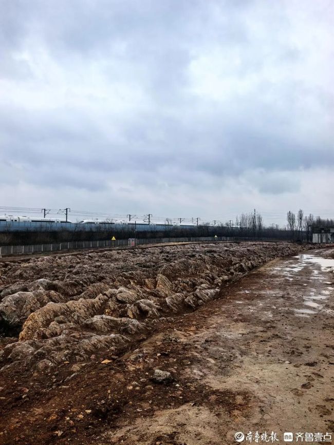 山东修高铁站挖出约5亿年前石海 远古奇观现世