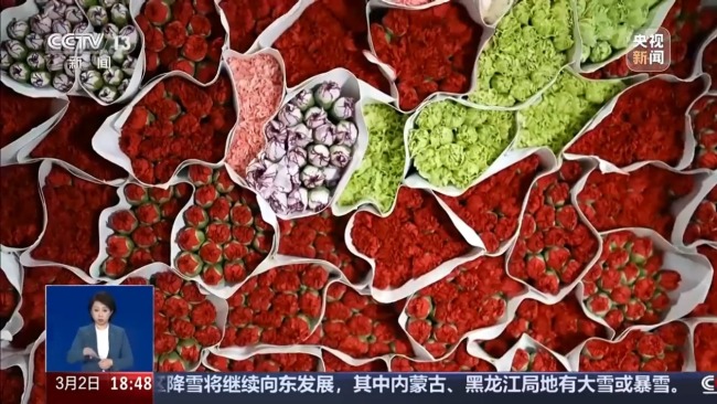 从花田到千家万户 一束云南鲜花的“春运之旅”