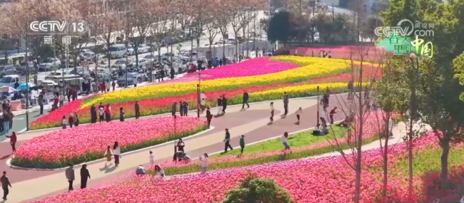 去踏青，春意正浓！“春日经济”蓬勃绽放
