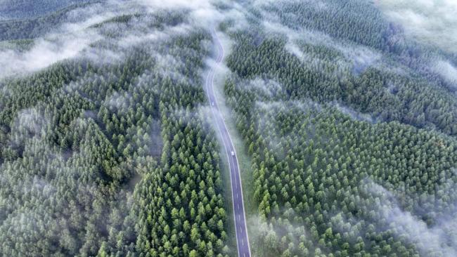 “典”亮人与自然和谐之路！中国第二部法典将诞生