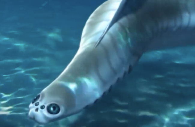 人类远古祖先或比二郎神多只眼，5亿年前人类祖先或有四只眼