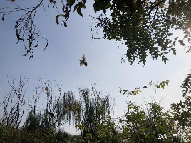 今天是惊蛰与天赦日罕见重合的吉日