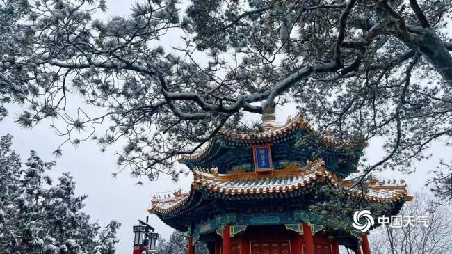 银装素裹在故宫具象化了 一步一景皆动人