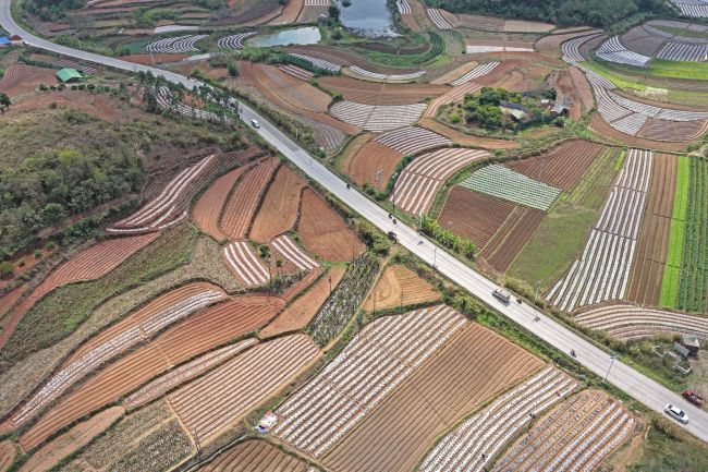 大地惊蛰！奏响春天的奋进序曲