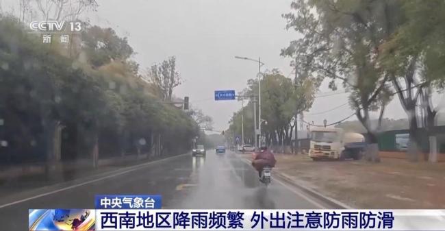 近期雨雪天气有利冬小麦苗情 北方降水助力返青