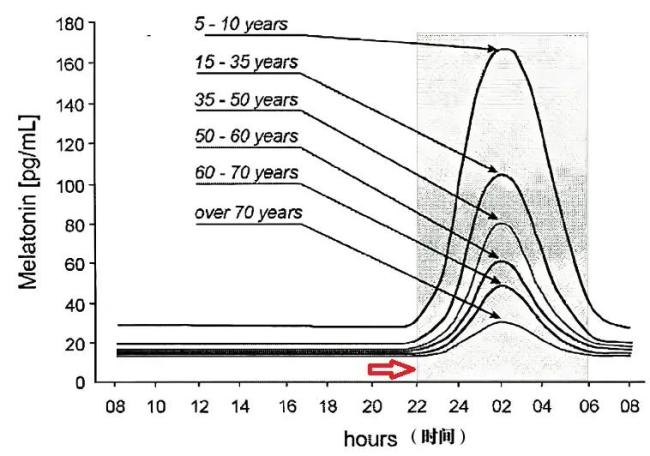 这4个小时是“黄金睡眠时间” 恢复精力的关键期