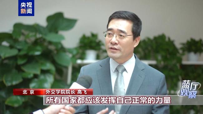 藍(lán)廳觀察丨從這場記者會 讀懂中國外交