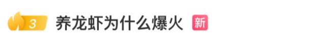 AI“龙虾”爆火 湾区上门一次收4万 全民养虾热潮