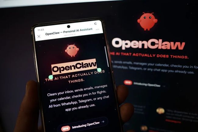 王俊煜的“养龙虾”心得