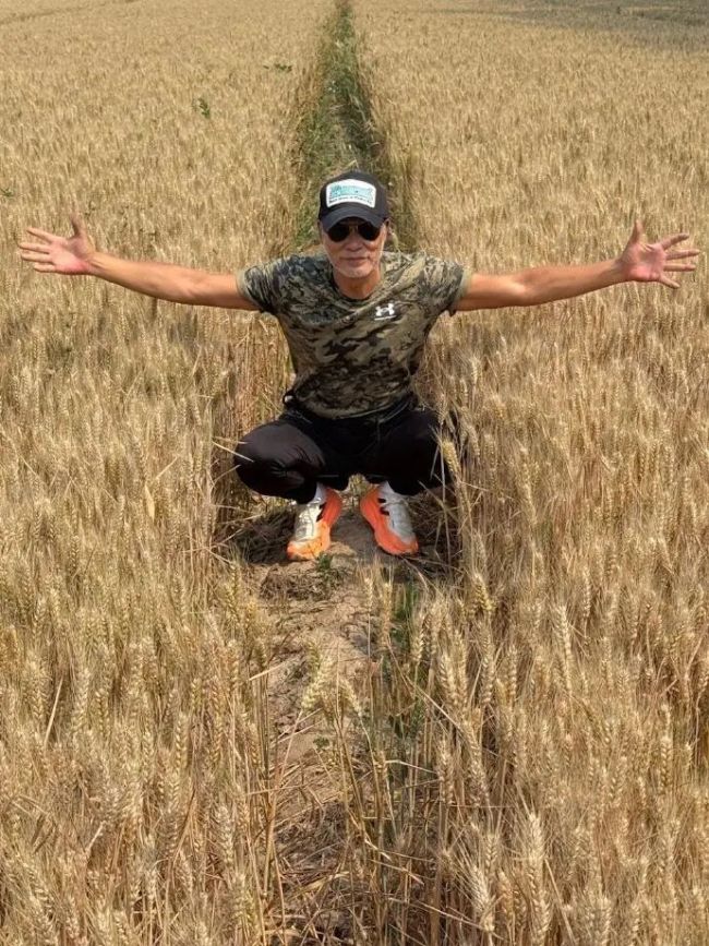 从顶流到黄毛:过气天王,已成农民 明星下乡元年